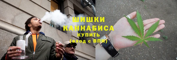 крисы Армянск