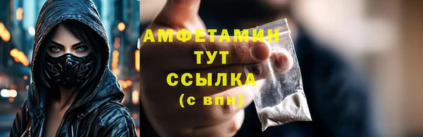 крисы Армянск