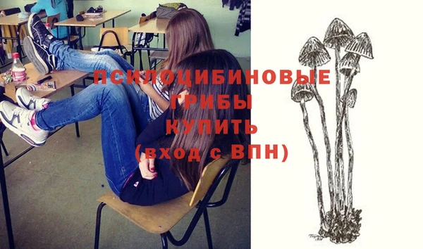 мет Аркадак