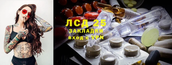крисы Армянск