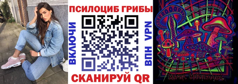 ссылка на мегу как зайти  Россошь  Псилоцибиновые грибы мицелий 